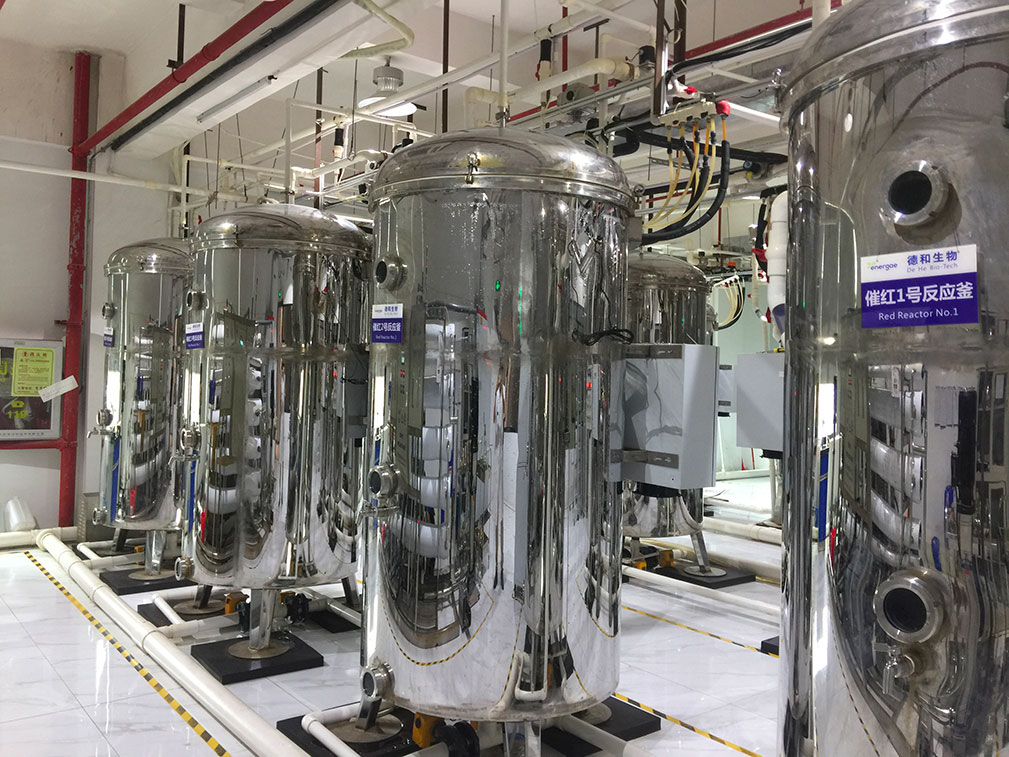 photobioreactors-per-web